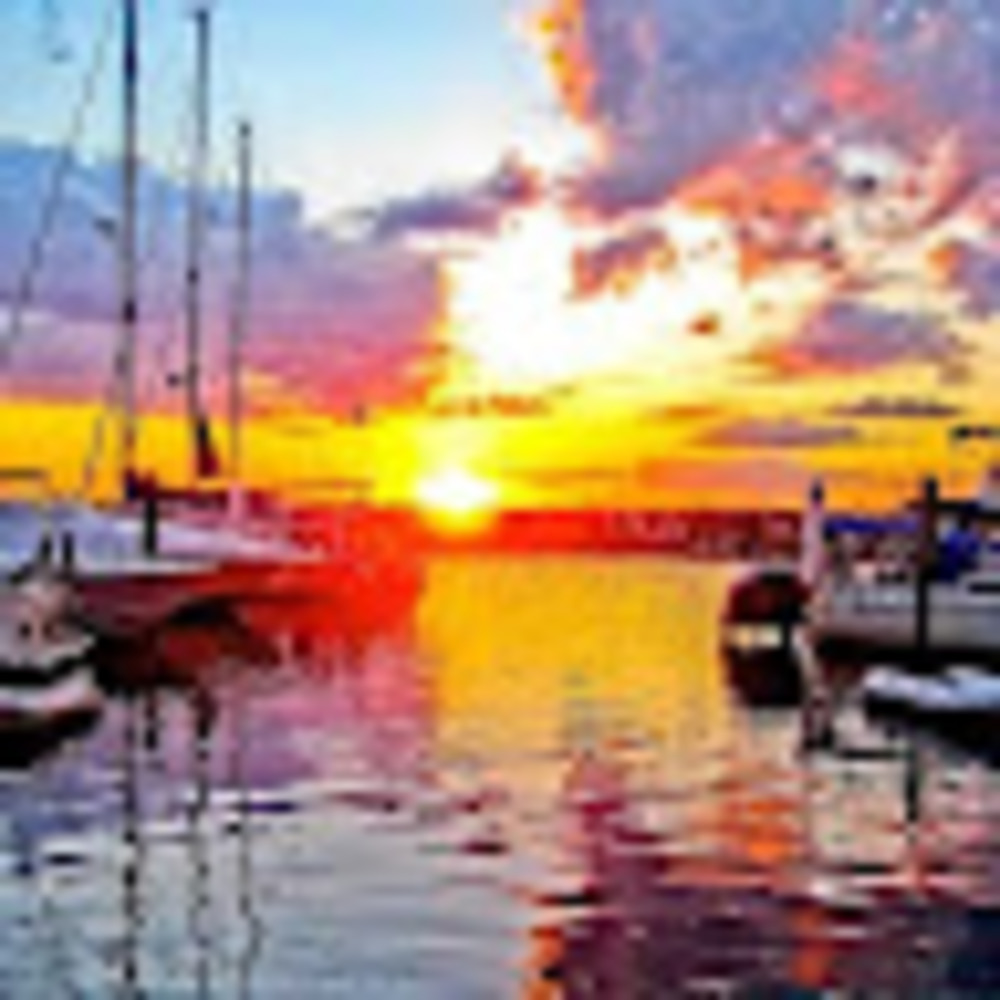 Meet your Posher, Mitch